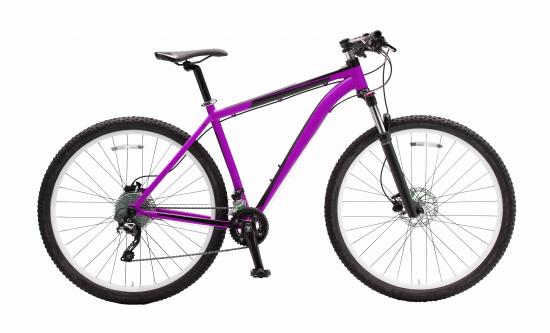 Fahrrad Mountain Purple